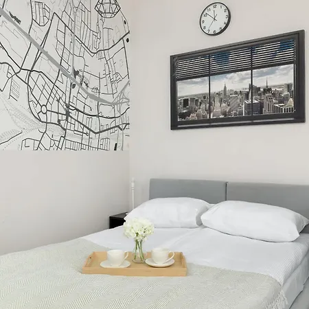 Funkcjonalne Z Klimatyzacja I Miejscem Do Pracy By Renters * Κατοβίτσε