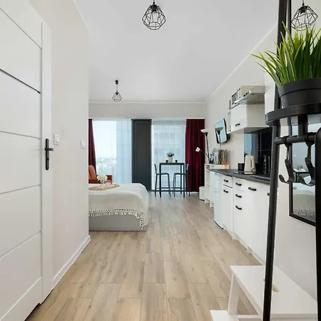 Funkcjonalne Z Klimatyzacja I Miejscem Do Pracy By Renters * Κατοβίτσε