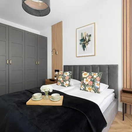 Funkcjonalne Apartamenty Z Klimatyzacja Katowice Zabrska 15 By Heyrent Апартаменты *